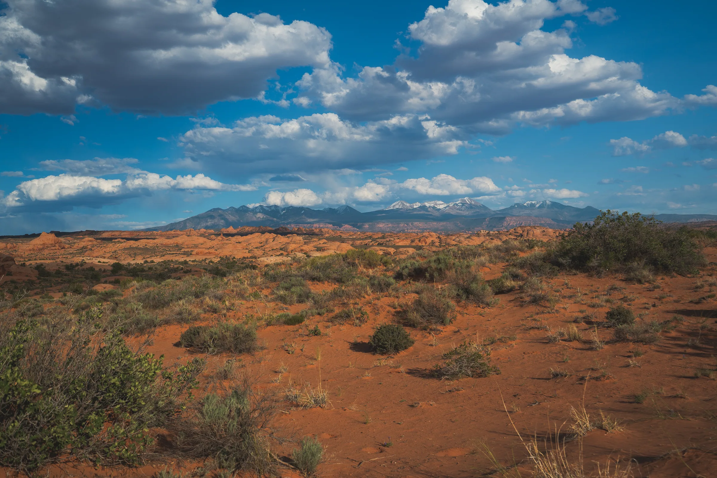 La Sal Mountains, Arches