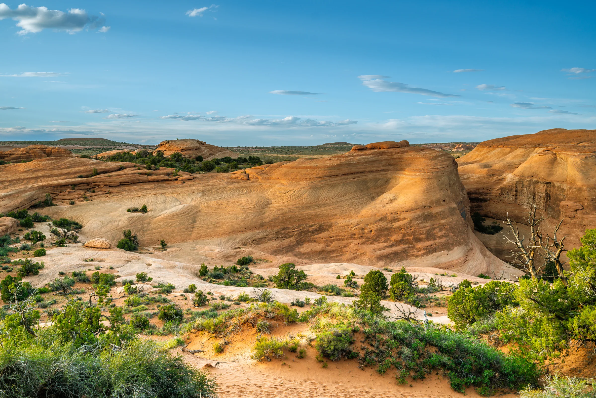 Slickrock, Arches
