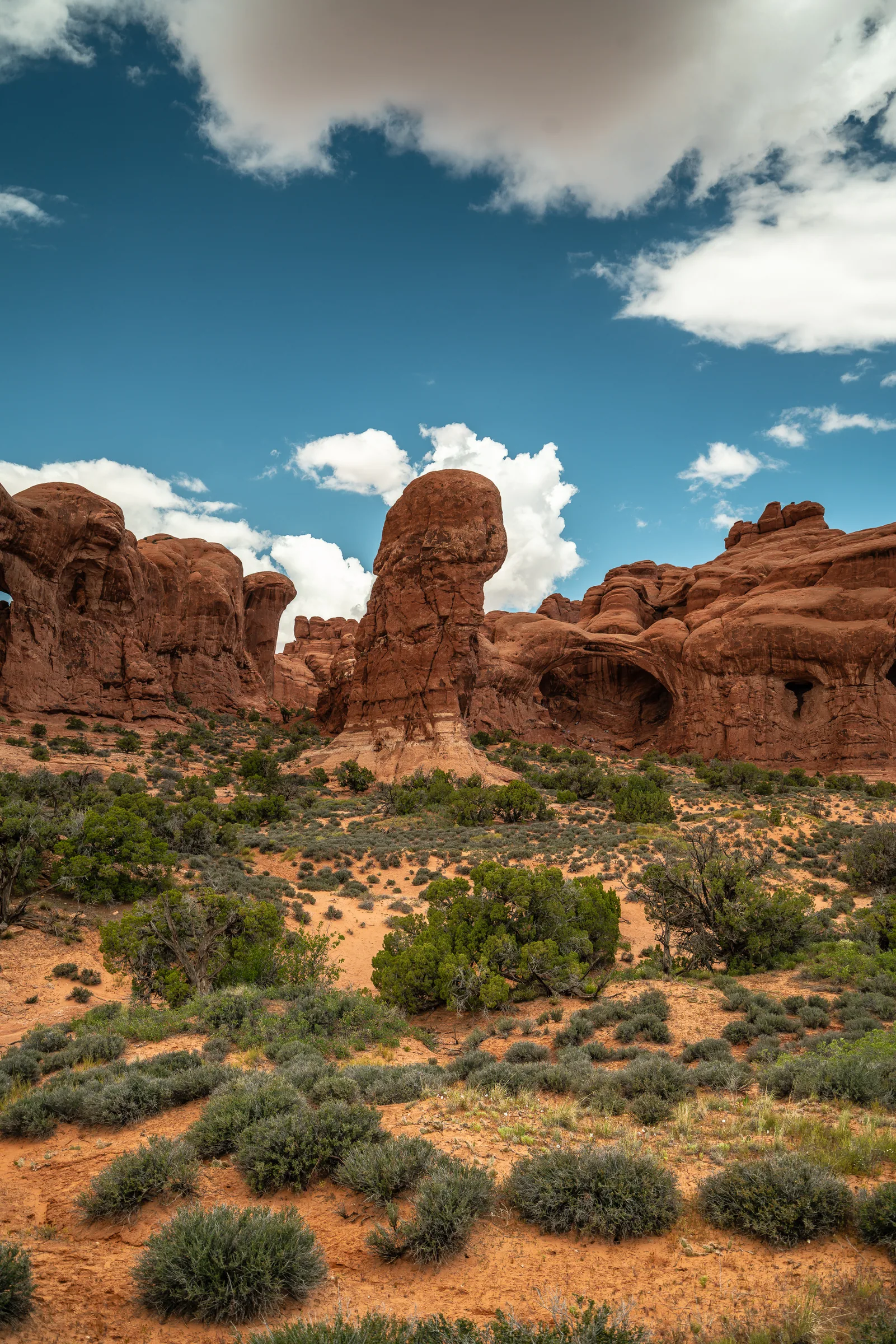 Windows Section, Arches