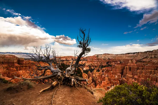 Bryce Canyon Amphitheatre, Bryce Canyon