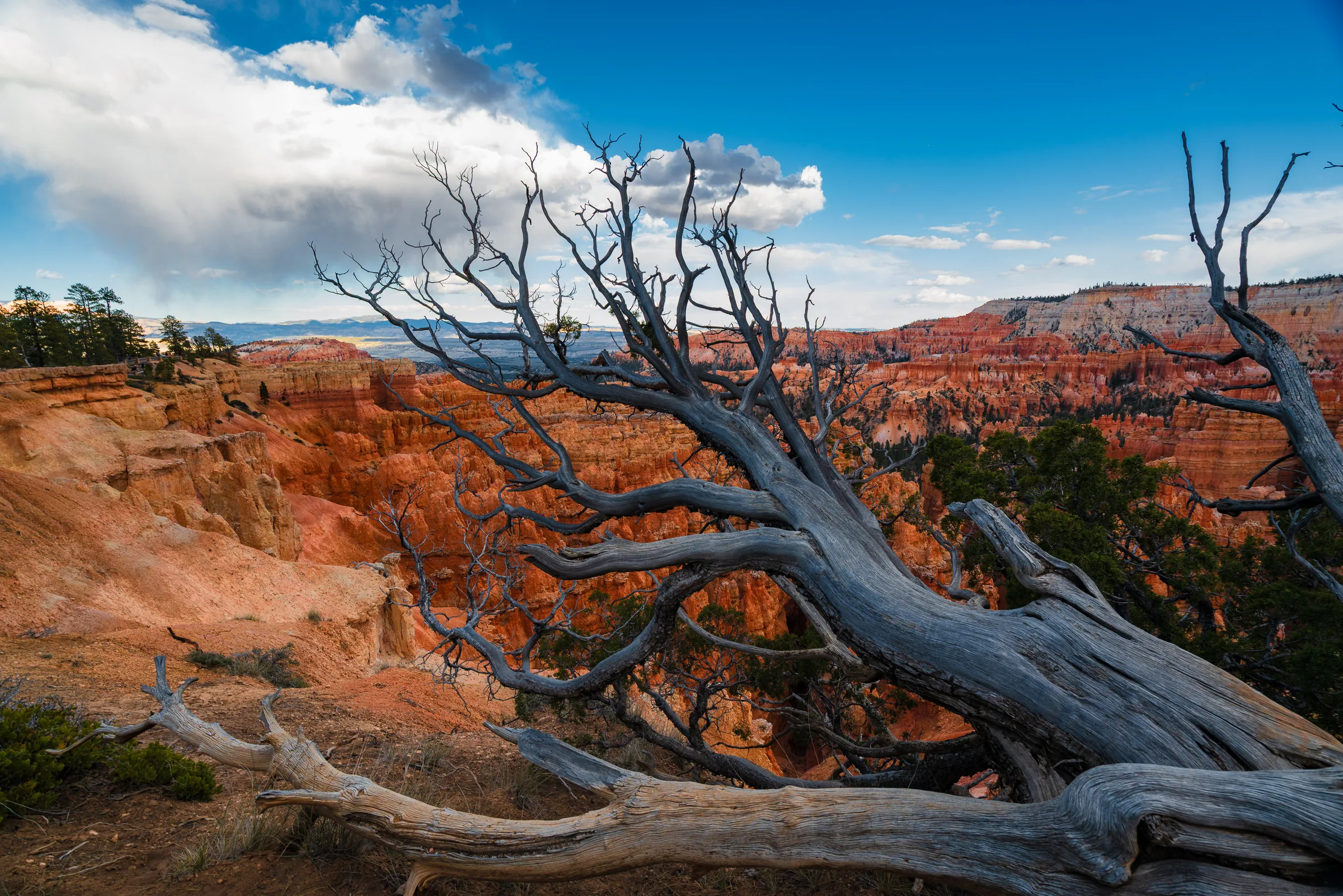 Bryce Canyon Amphitheatre, Bryce Canyon
