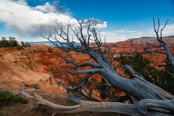 Bryce Canyon Amphitheatre, Bryce Canyon