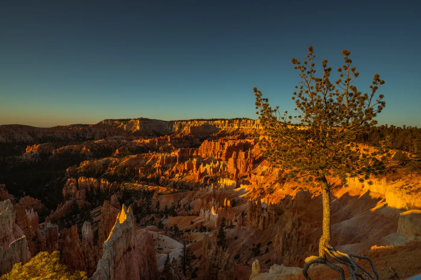 Bryce Canyon Amphitheatre, Bryce Canyon