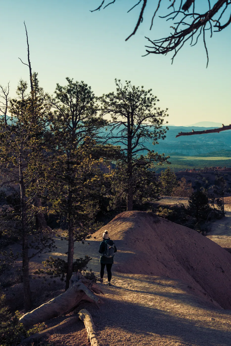 Navajo Loop, Bryce Canyon