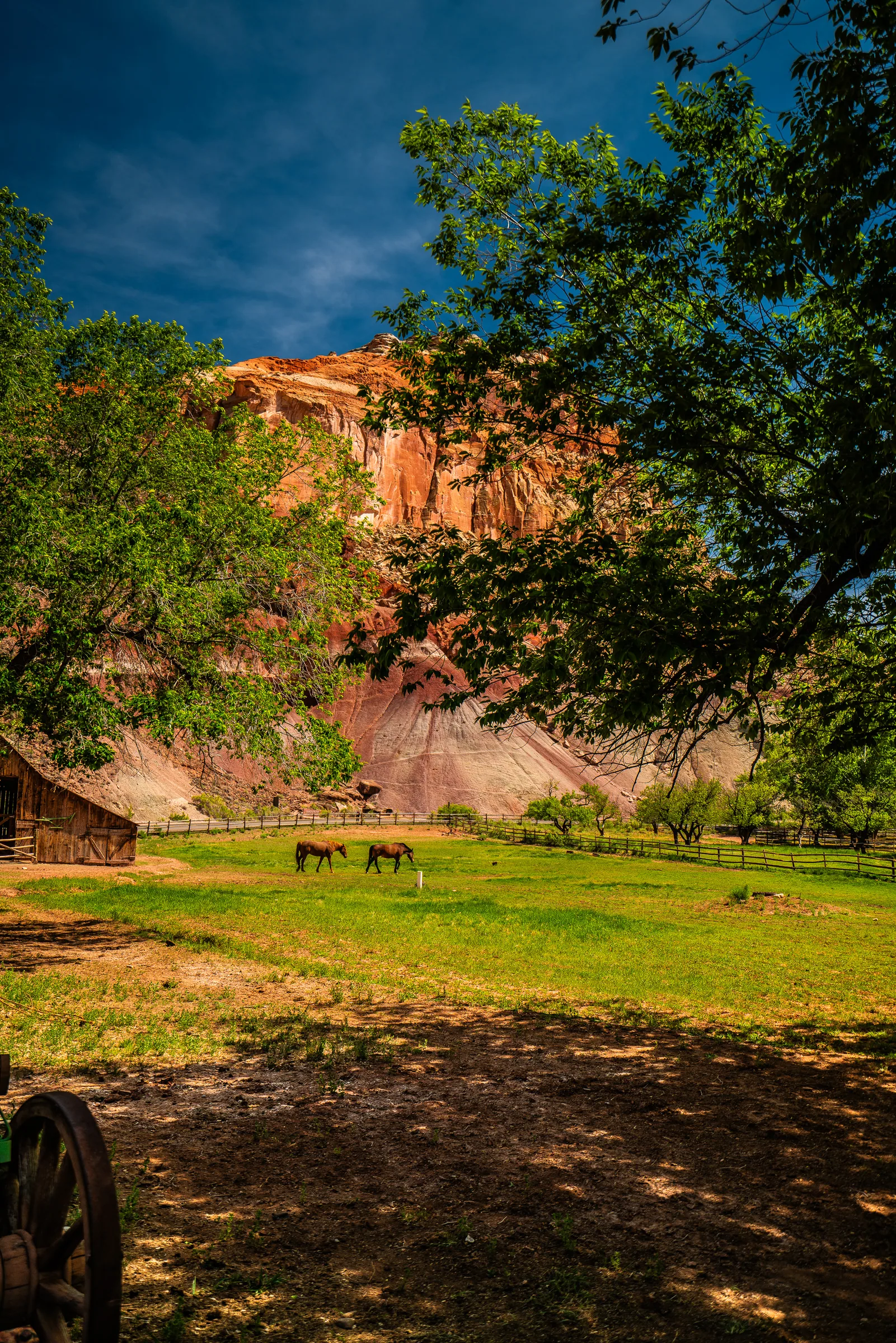 Gifford House, Capitol Reef