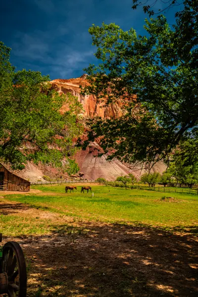 Gifford House, Capitol Reef