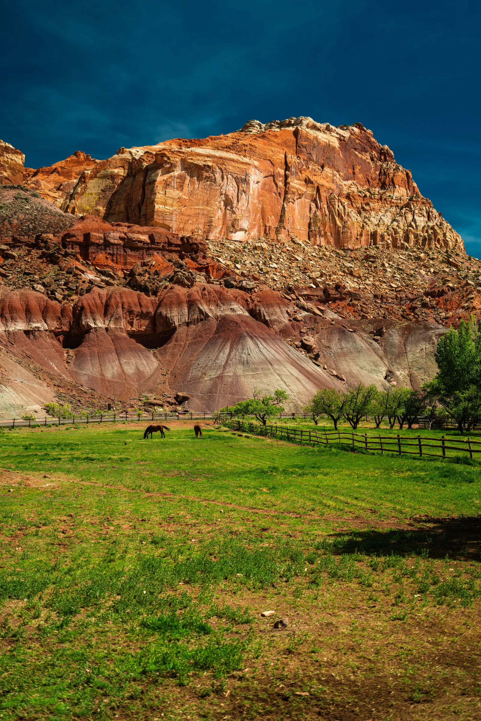 The Fremont River Oasis, Capitol Reef