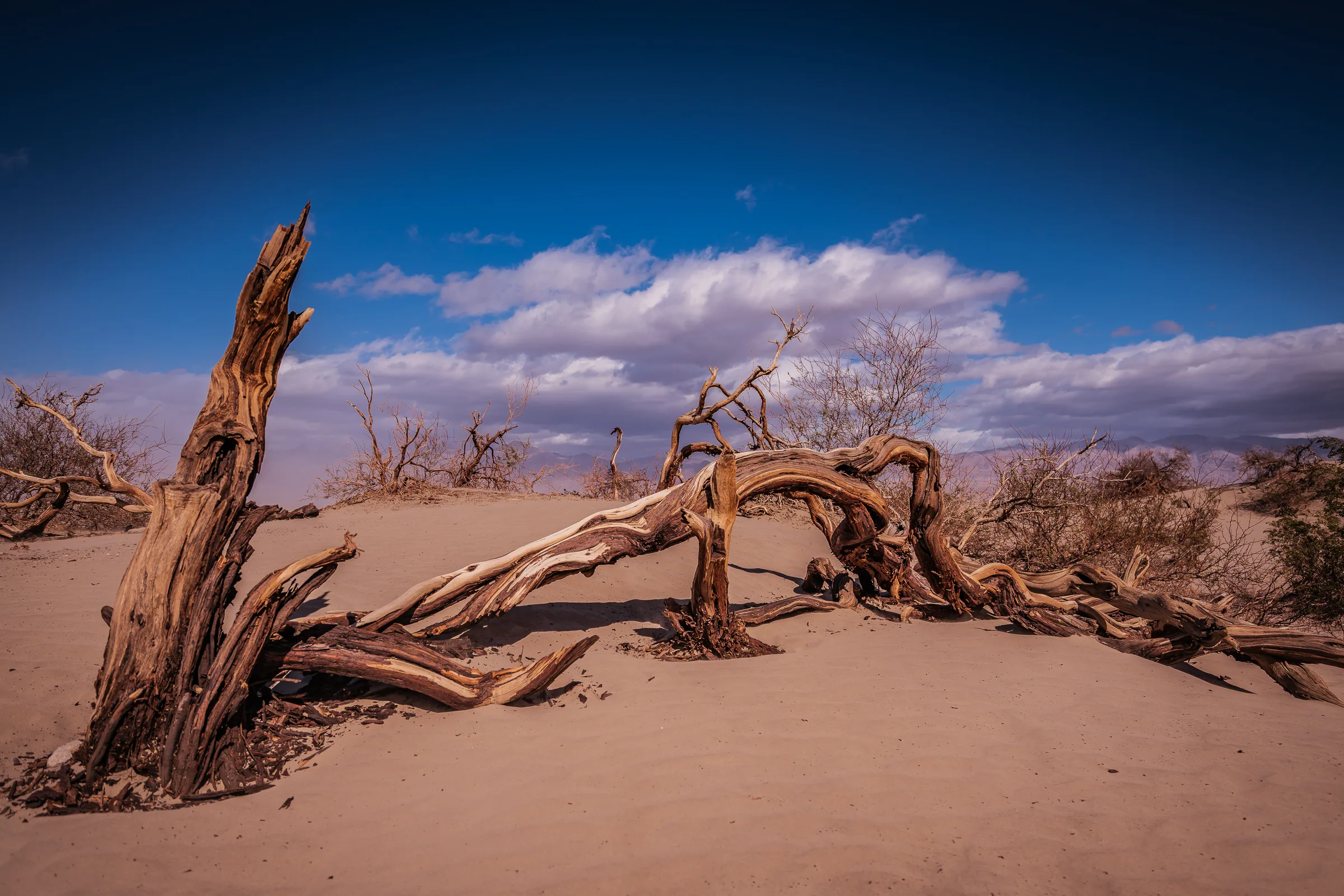 Mesquite Flat Sand Dunes, Death Valley