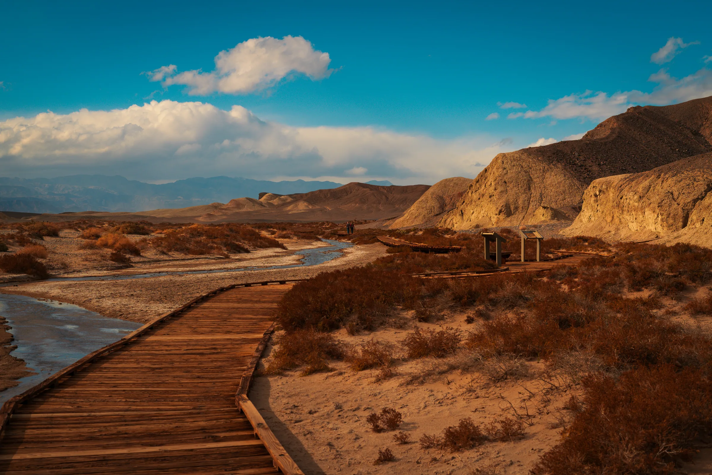 Salt Creek, Death Valley