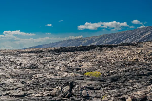 Devastation Trail, Hawaii Volcanoes