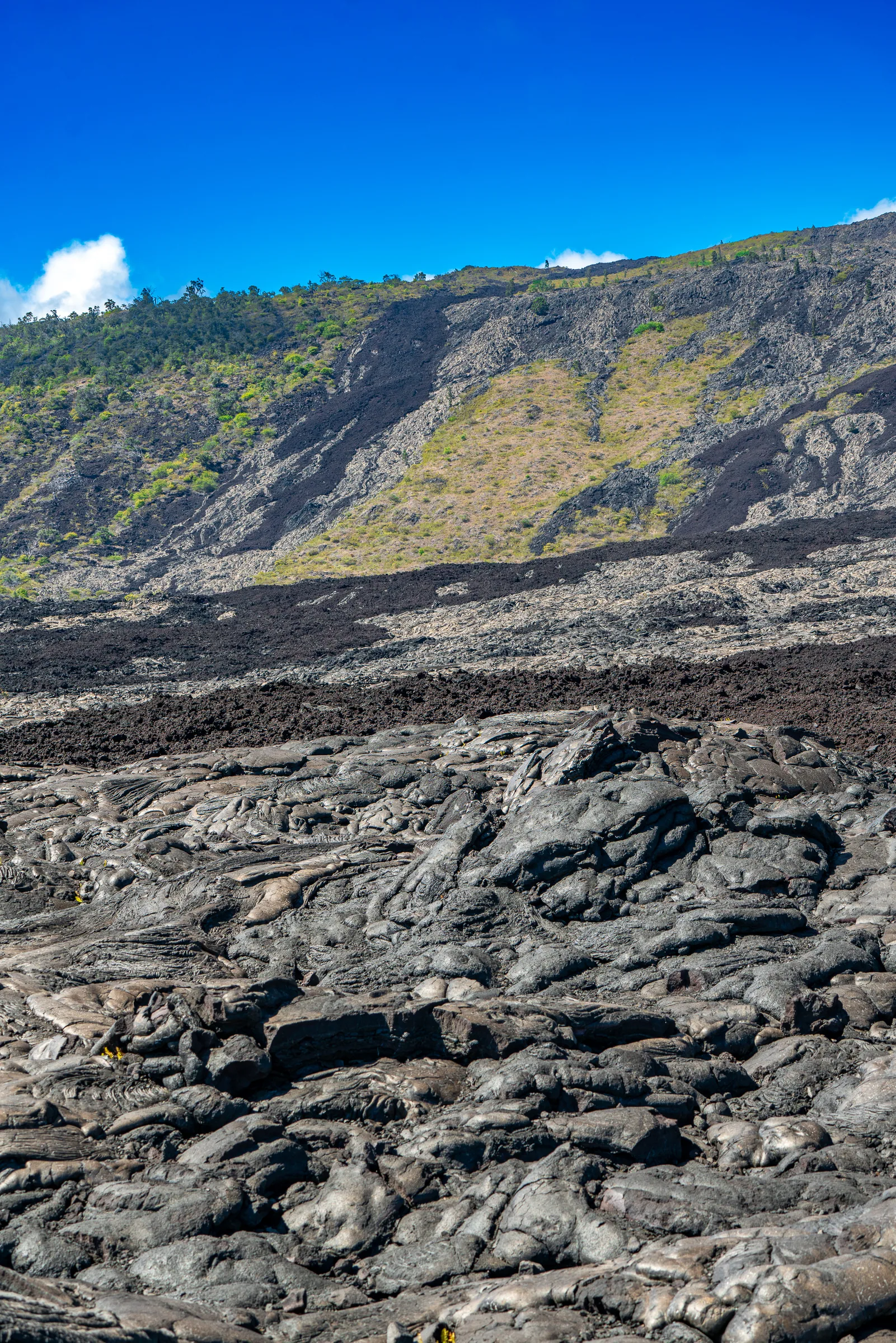 Devastation Trail, Hawaii Volcanoes
