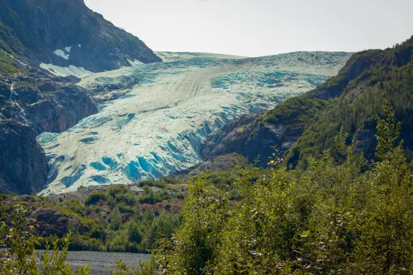 Exit Glacier, Kenai Fjords