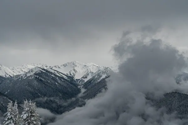 Hurricane Ridge, Olympic