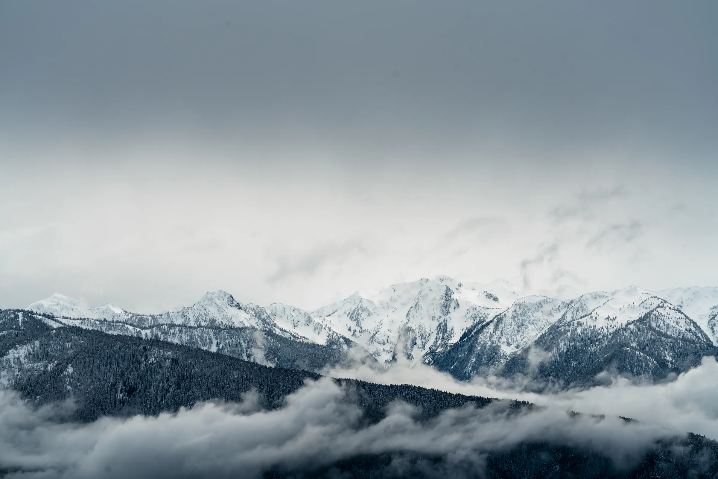Olympic Mountains, Olympic