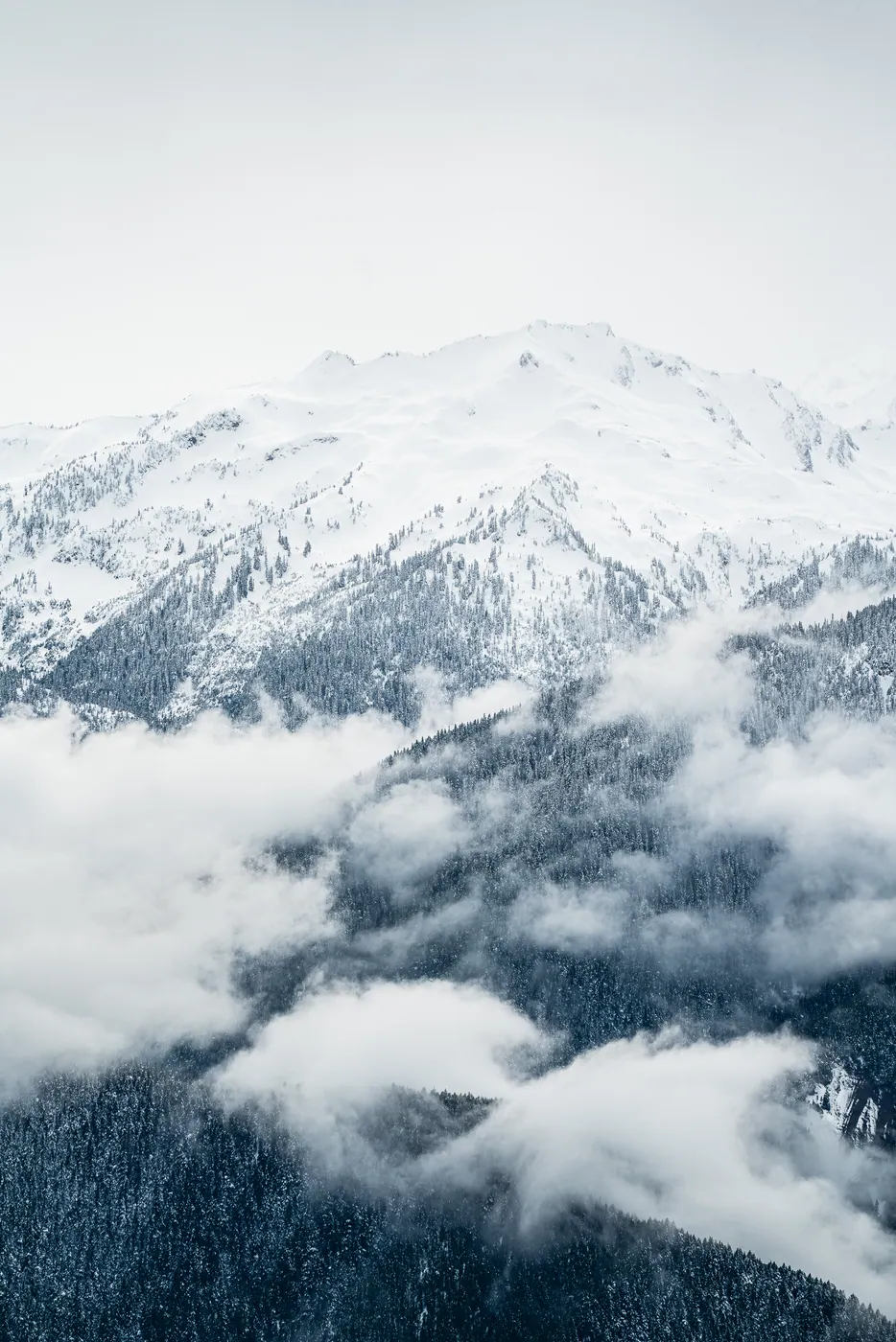 Olympic Mountains, Olympic