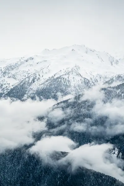 Olympic Mountains, Olympic