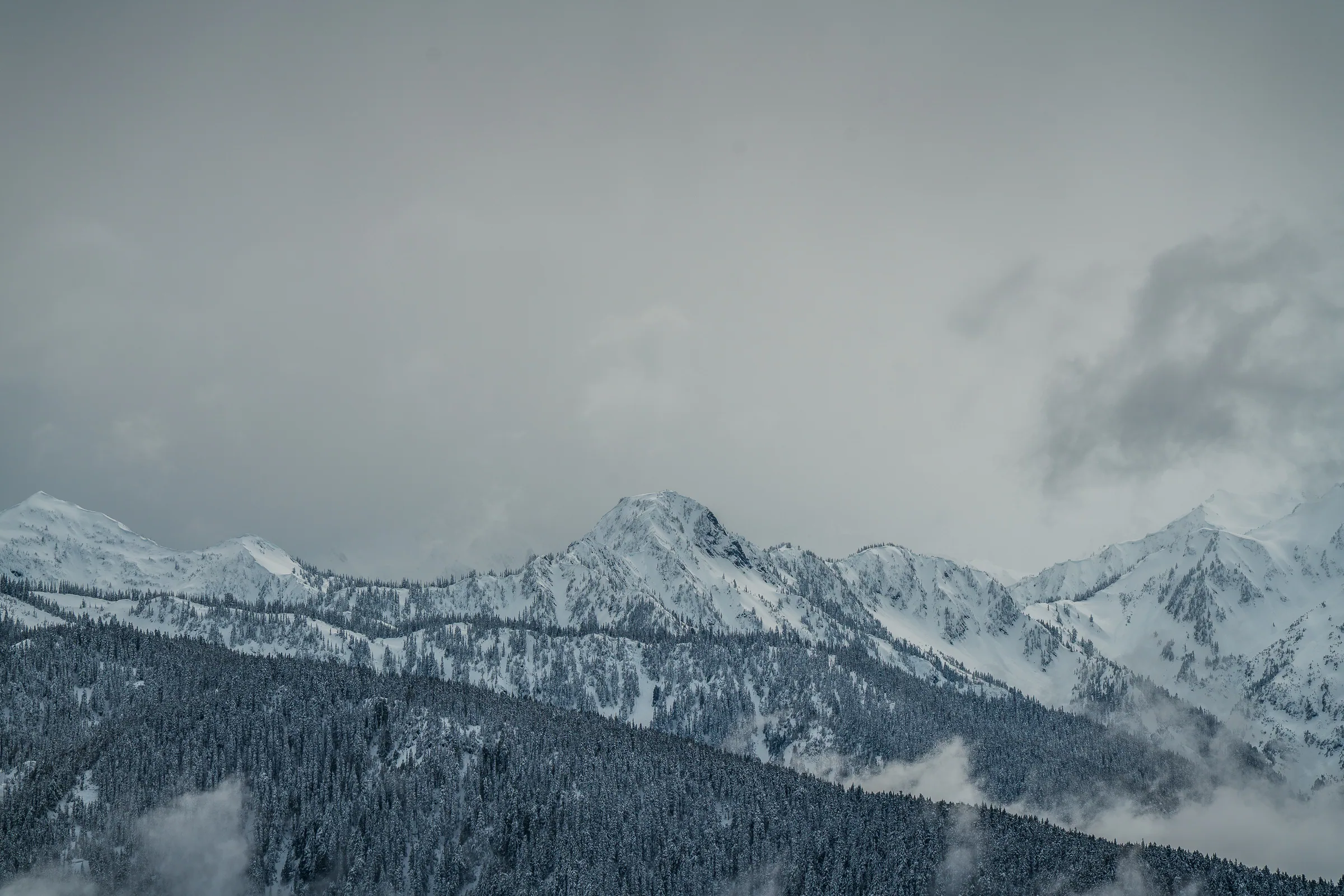 Olympic Mountains, Olympic