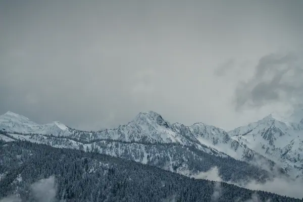 Olympic Mountains, Olympic