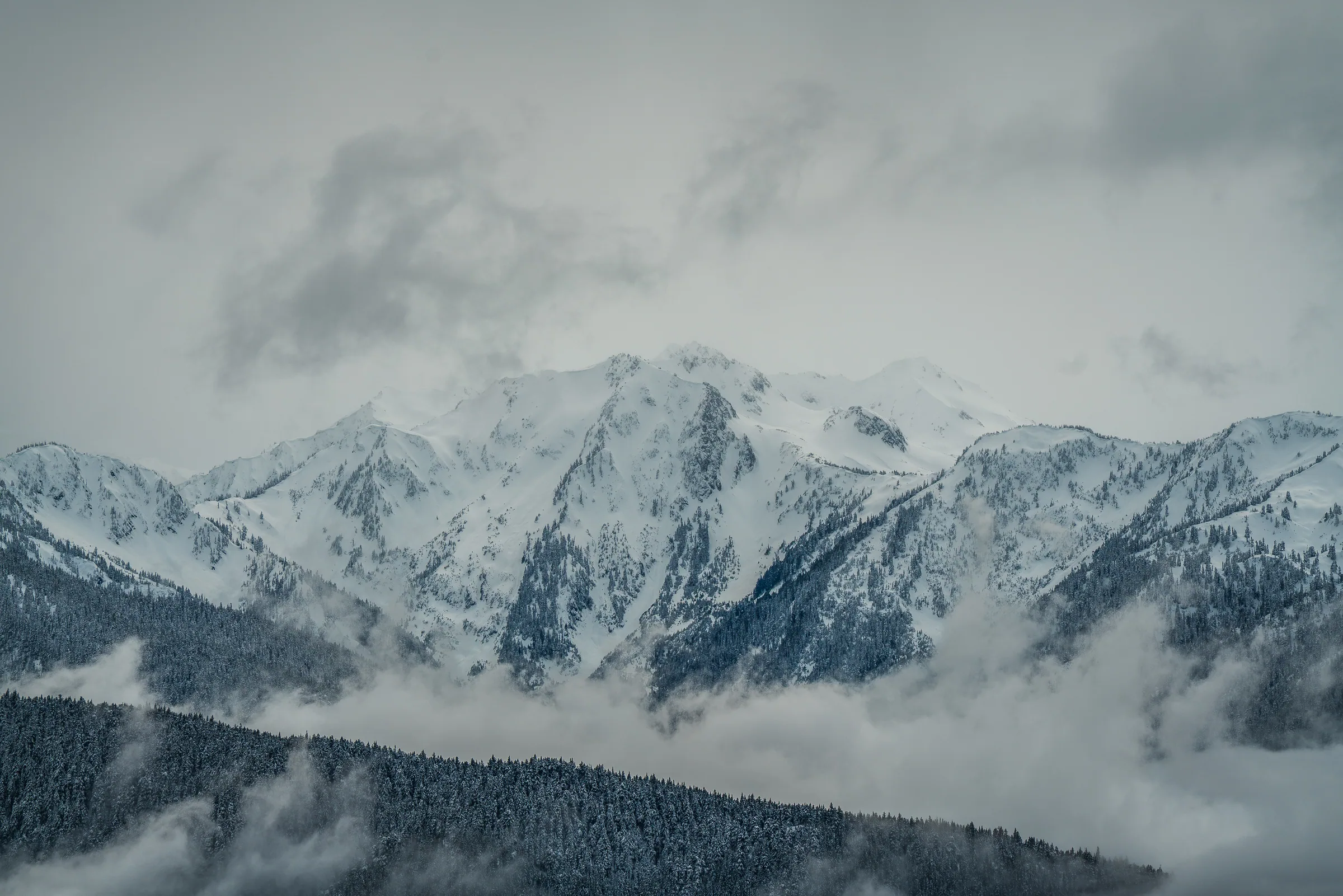 Olympic Mountains, Olympic