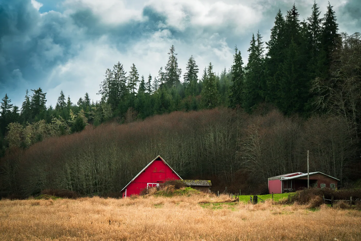 An Old Barn, Olympic