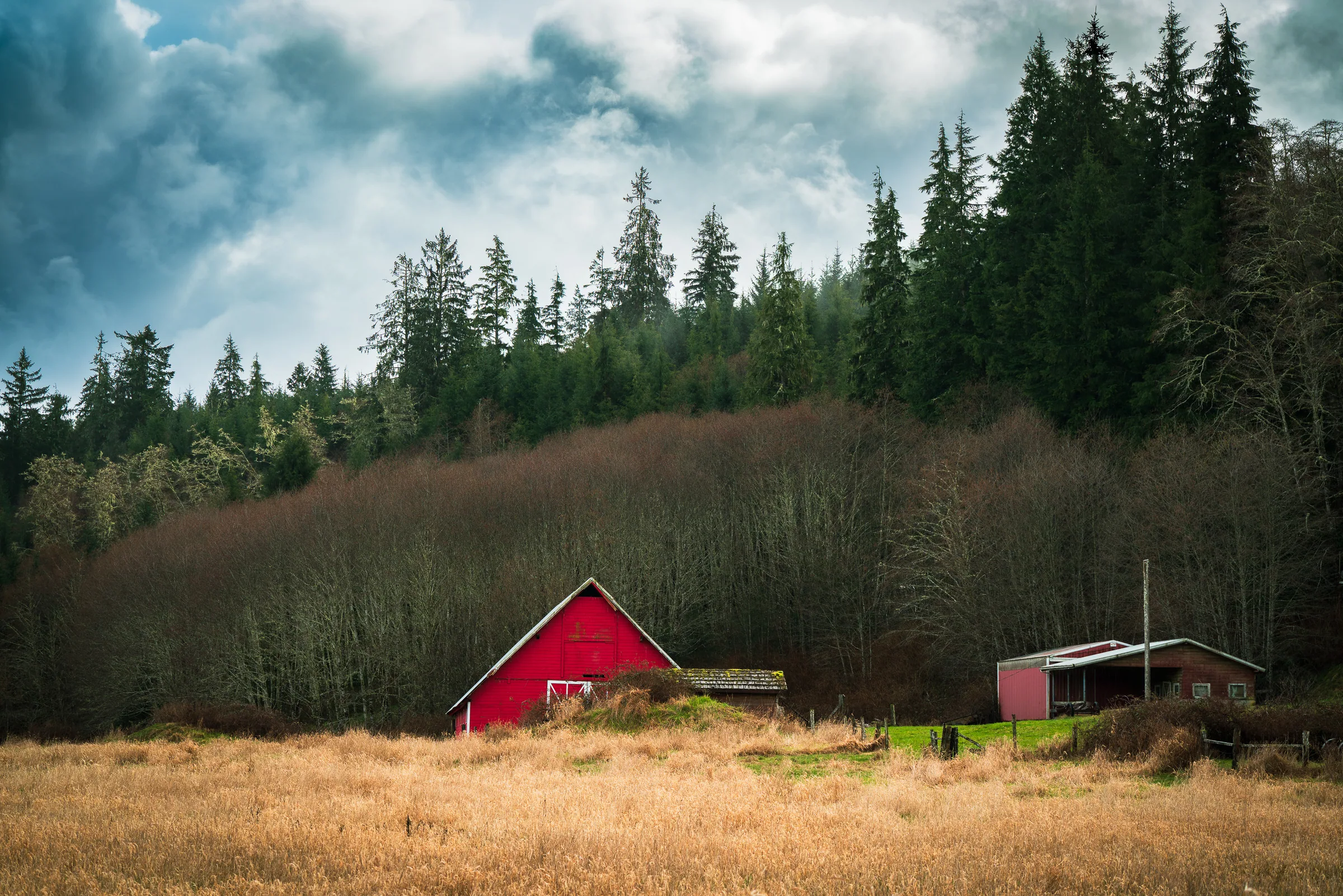 An Old Barn, Olympic