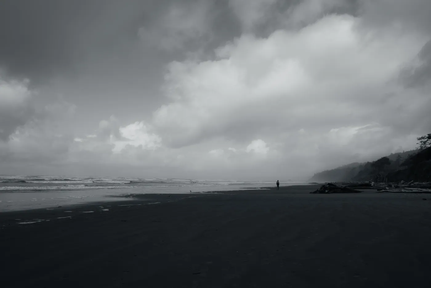 Kalaloch Beach, Olympic