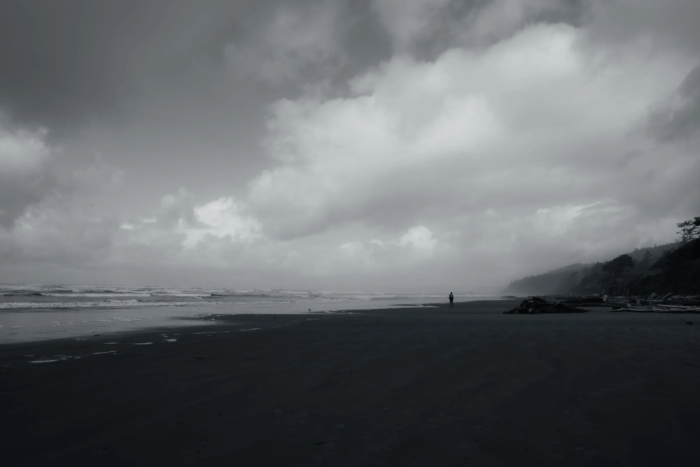 Kalaloch Beach, Olympic