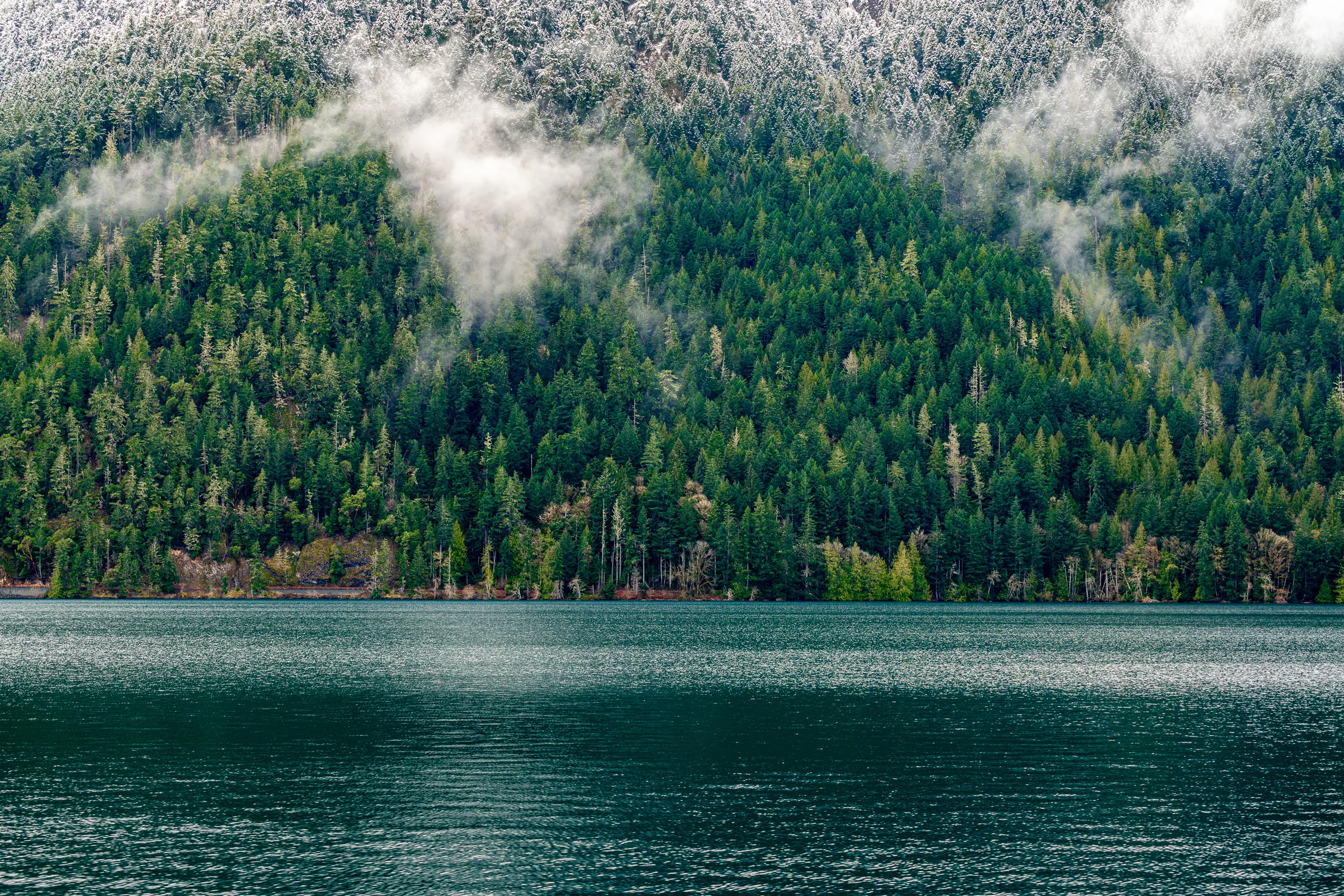 Lake Crescent, Olympic