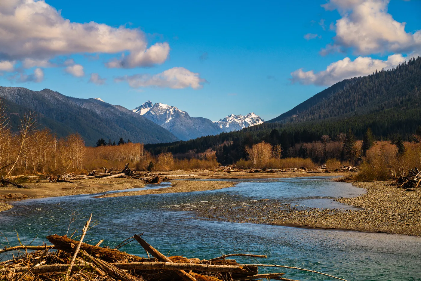 Hoh River, Olympic