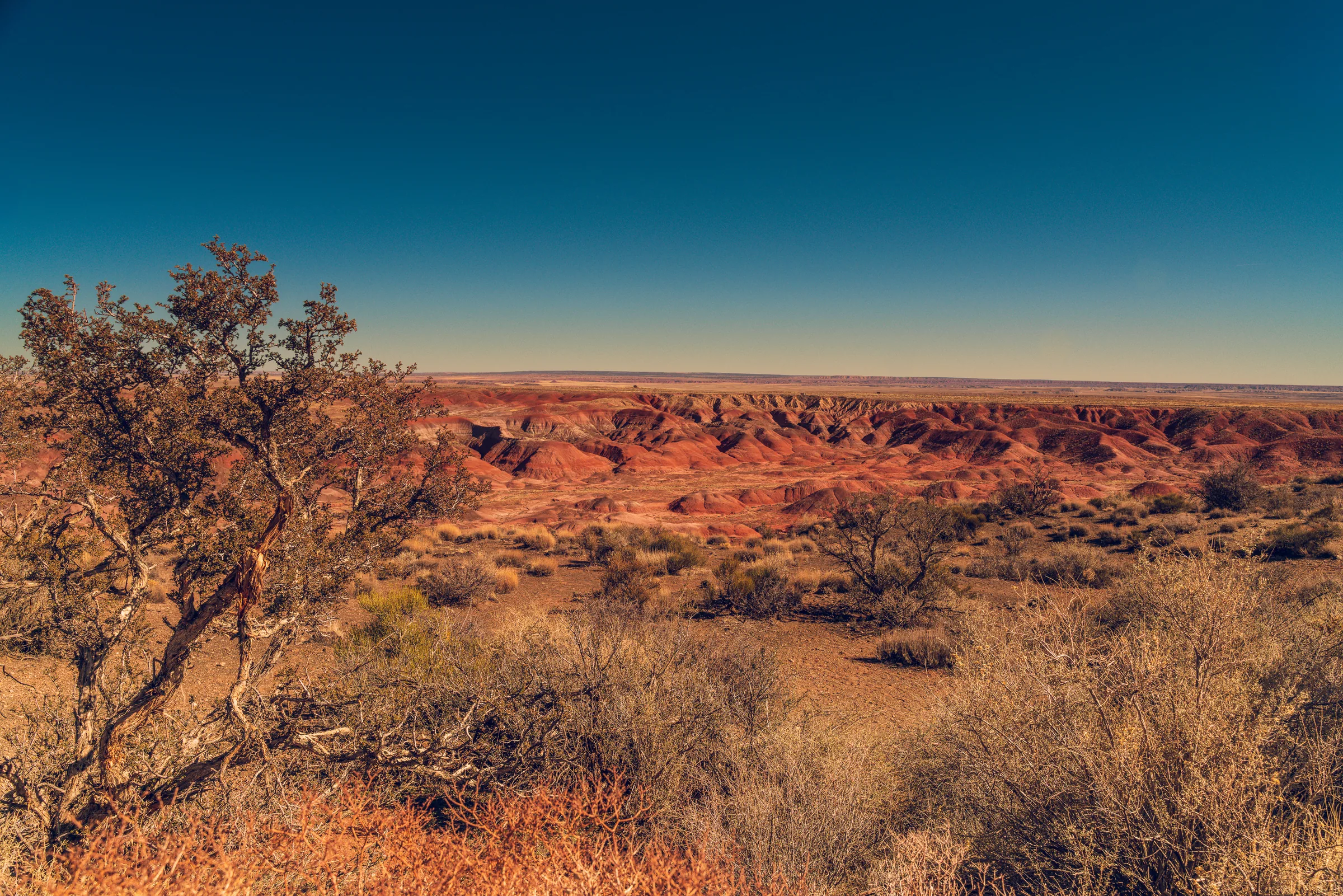 Painted Desert, Petrified Forest