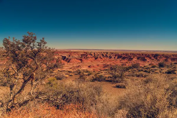 Painted Desert, Petrified Forest