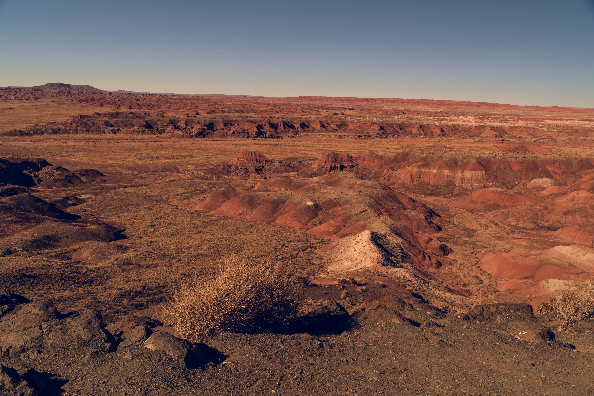 Painted Desert Badlands, Petrified Forest