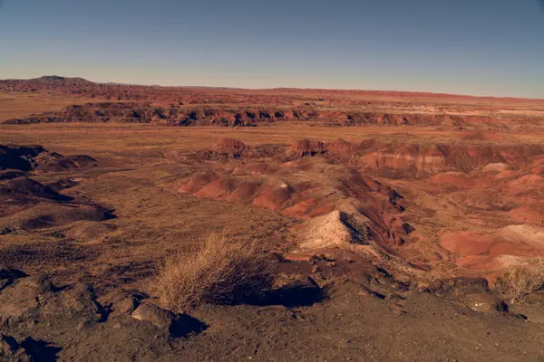 Painted Desert Badlands, Petrified Forest
