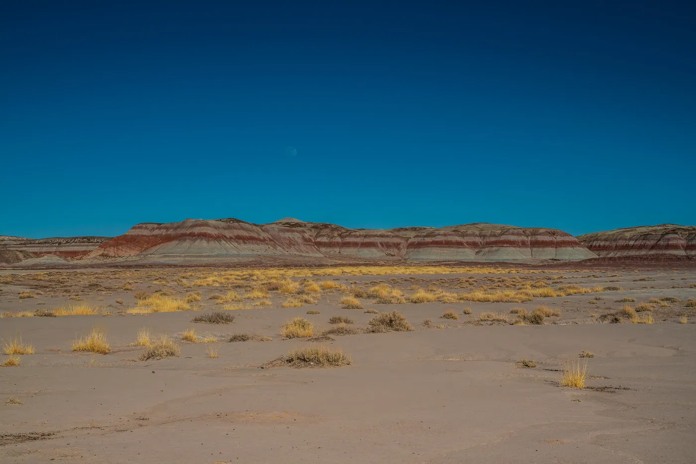 Banded Hills, Petrified Forest
