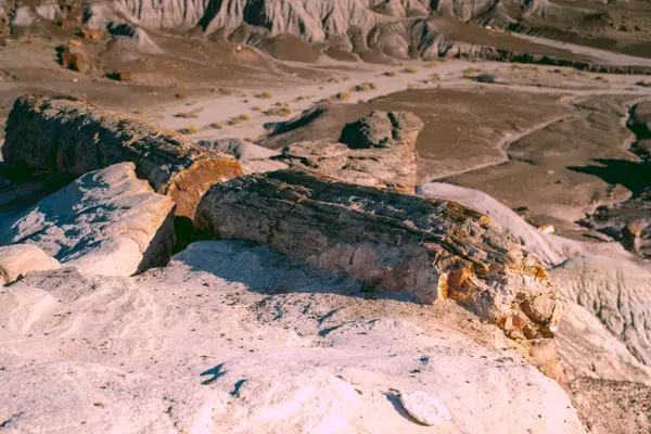Petrified Log, Petrified Forest