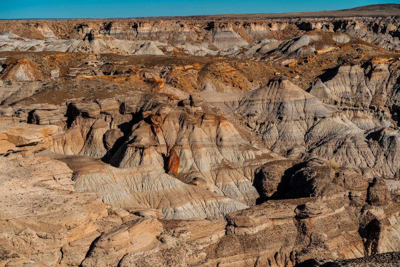 Badlands and Logs, Petrified Forest