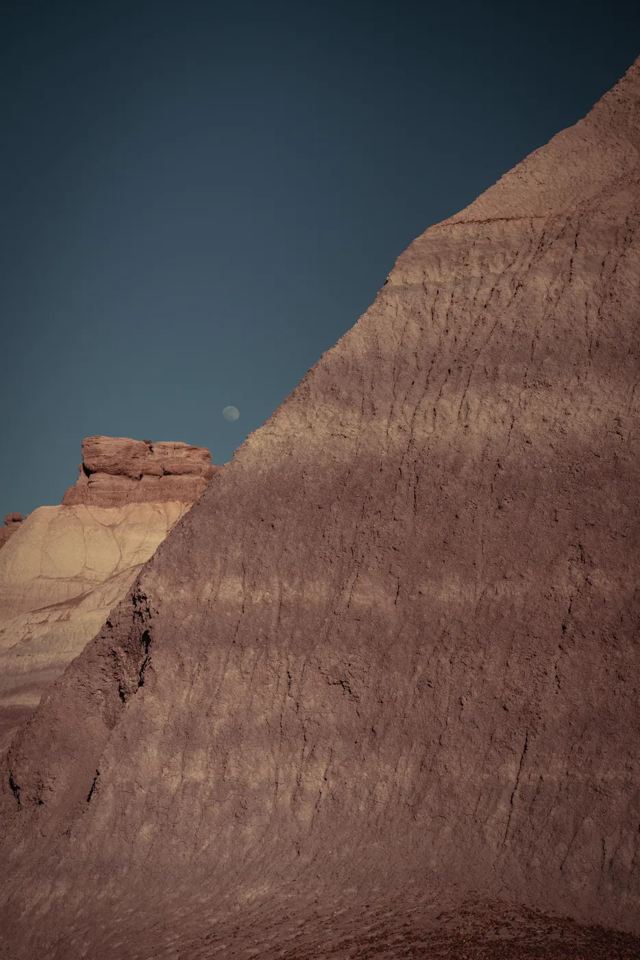 Moon over the Badlands, Petrified Forest