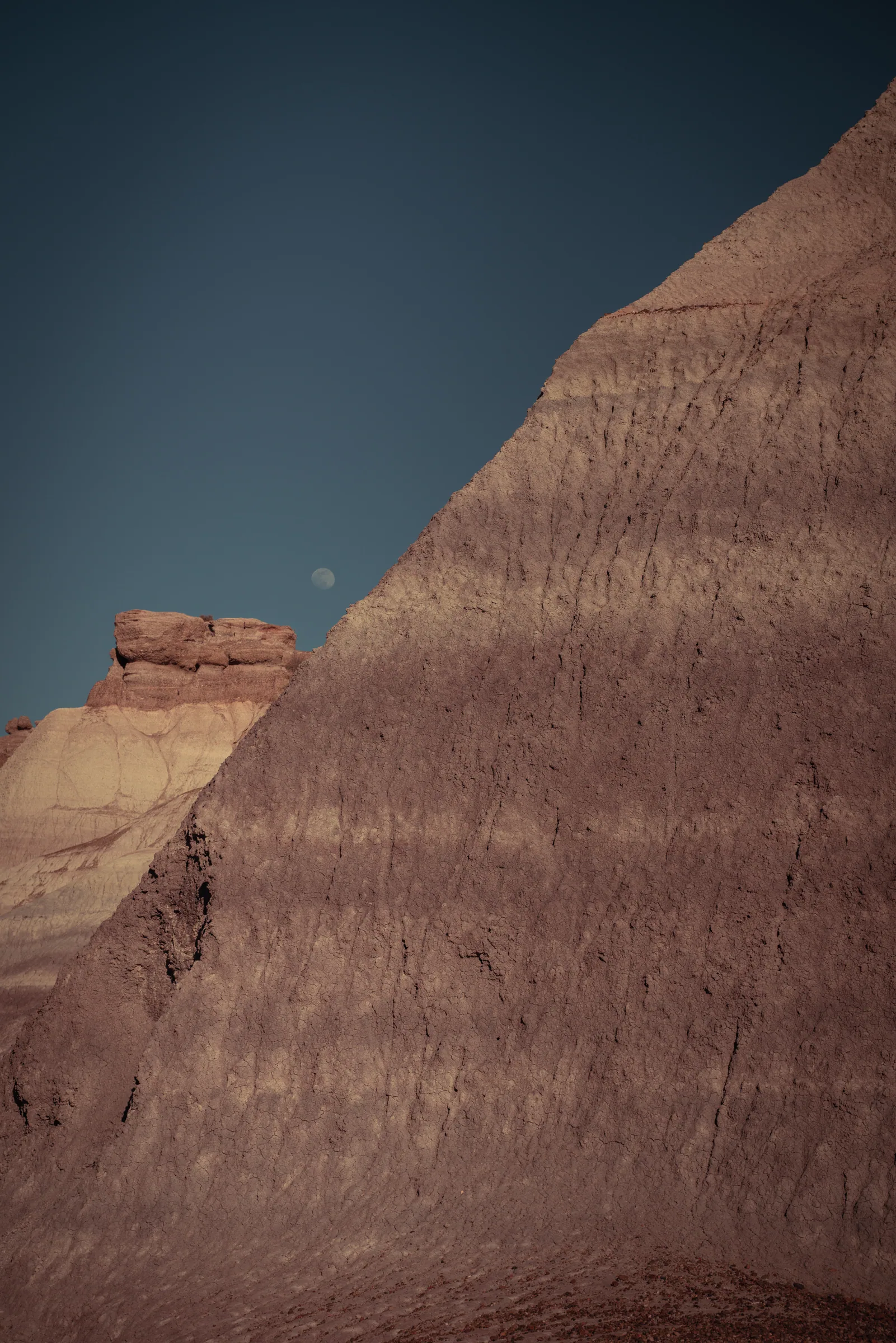 Moon over the Badlands, Petrified Forest