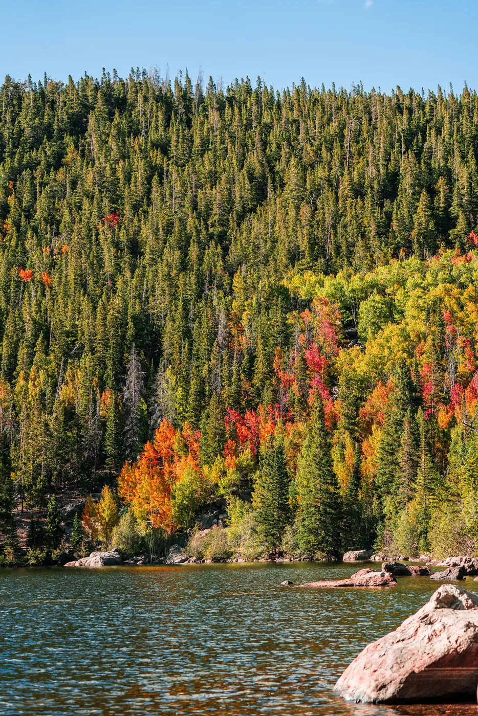 Bear Lake, Rocky Mountain