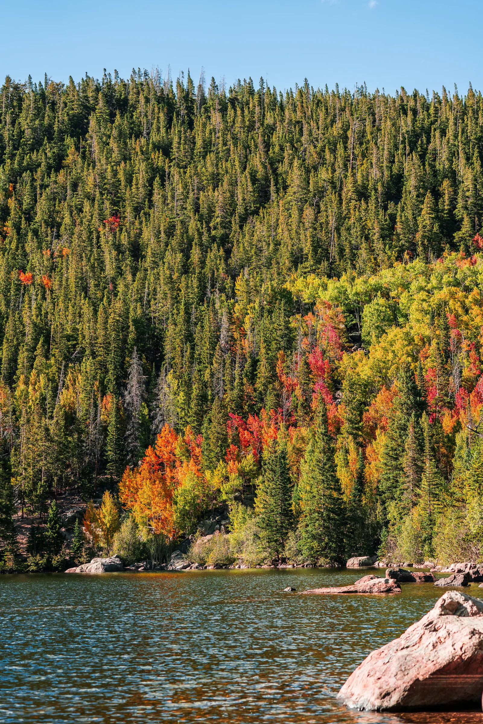 Bear Lake, Rocky Mountain