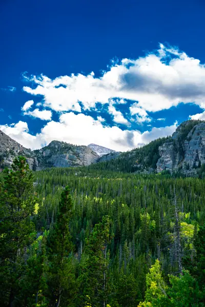 Trek Views, Rocky Mountain