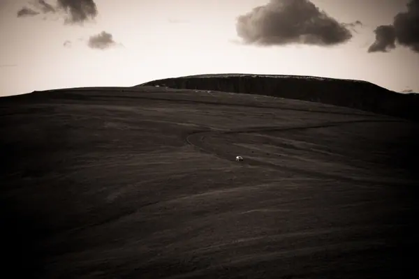 Alpine Tundra, Rocky Mountain