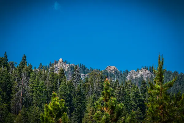 Granite Above the Forest, Sequoia