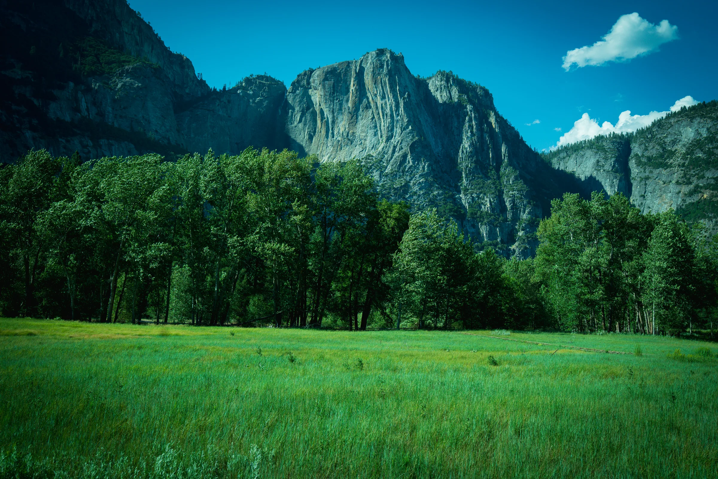 Valley Meadow, Yosemite