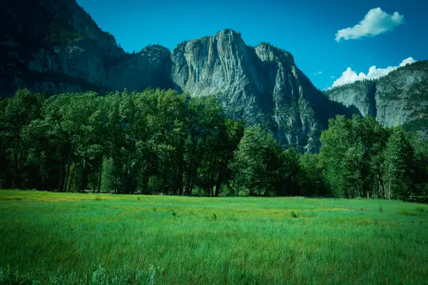 Valley Meadow, Yosemite