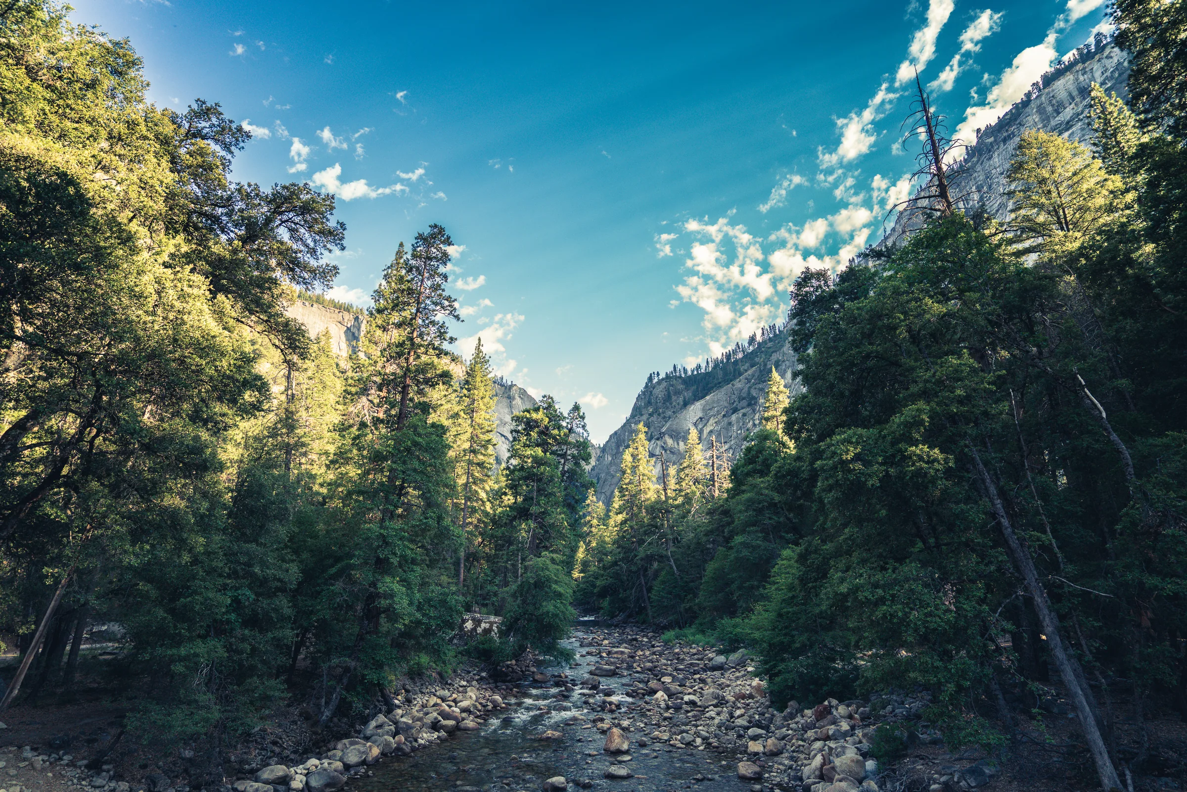 Merced River, Yosemite