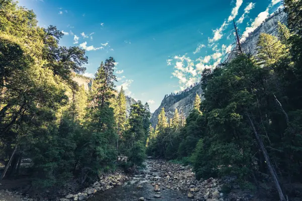 Merced River, Yosemite
