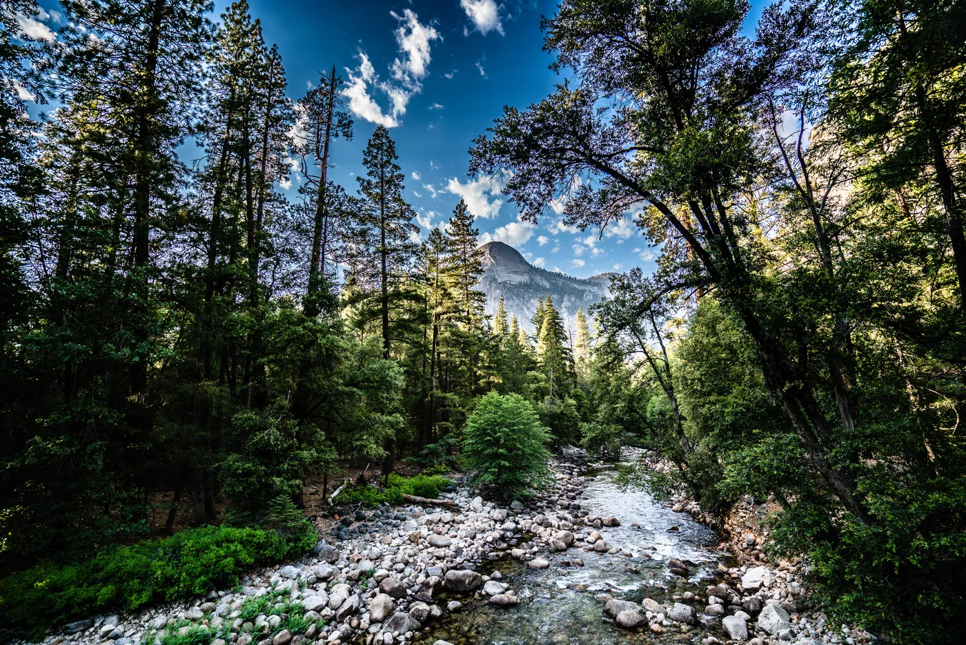 Along the Merced, Yosemite