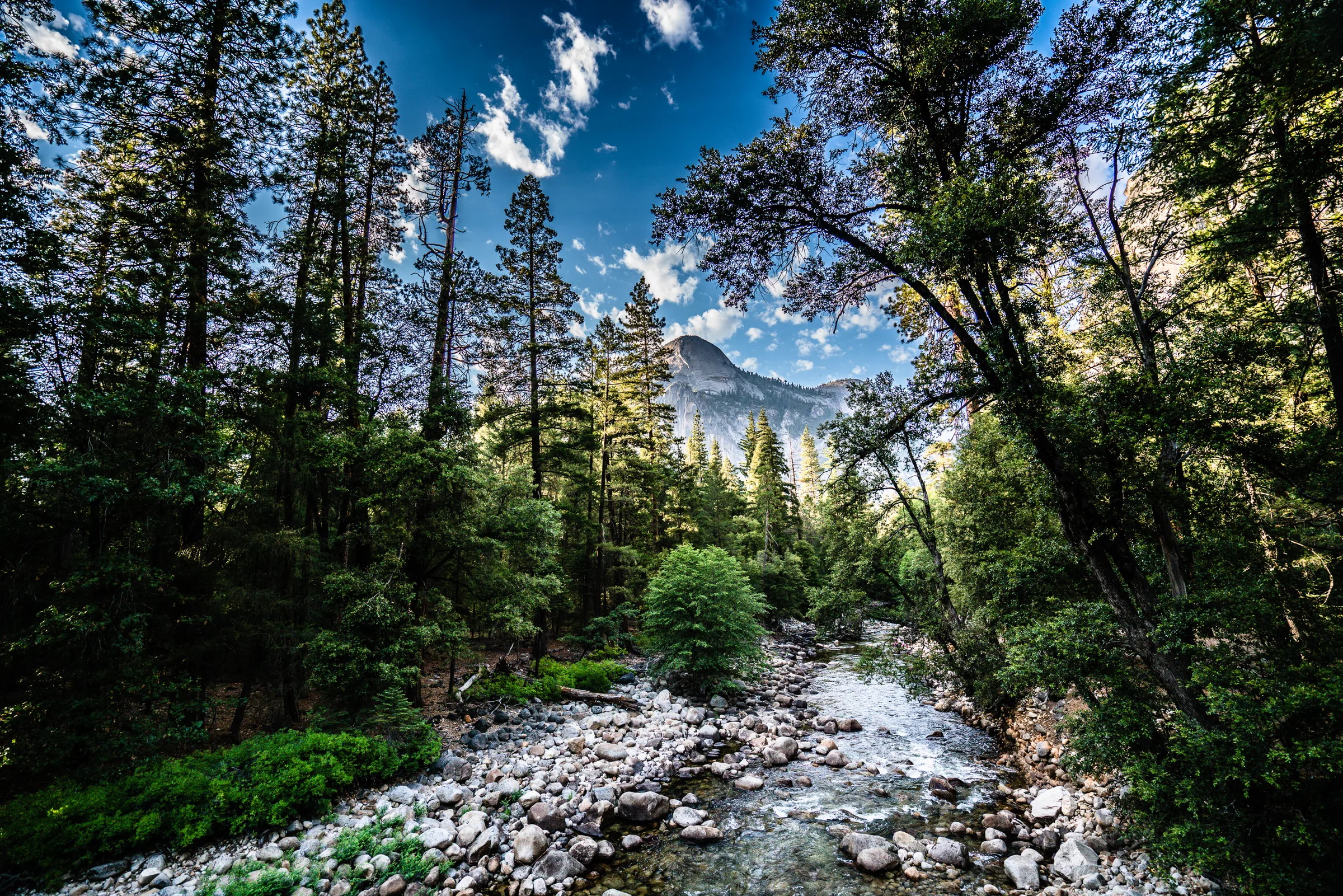 Along the Merced, Yosemite