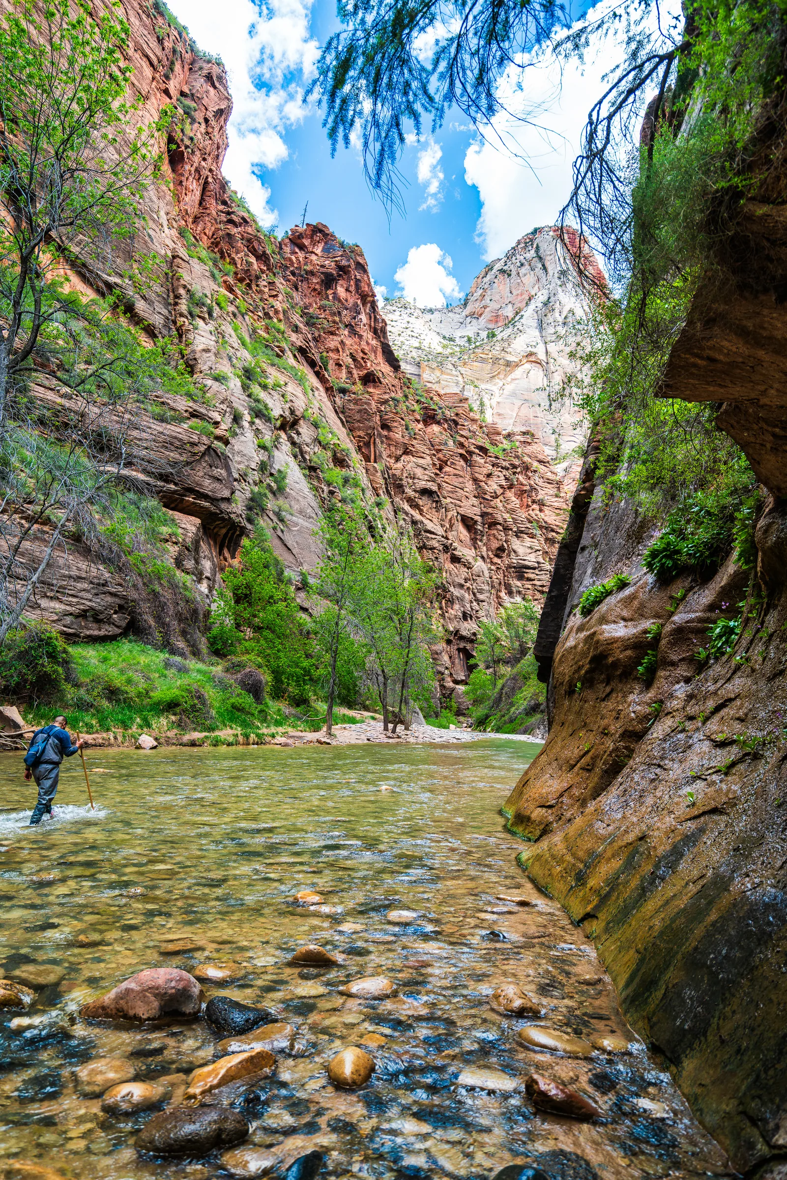 The Narrows, Zion